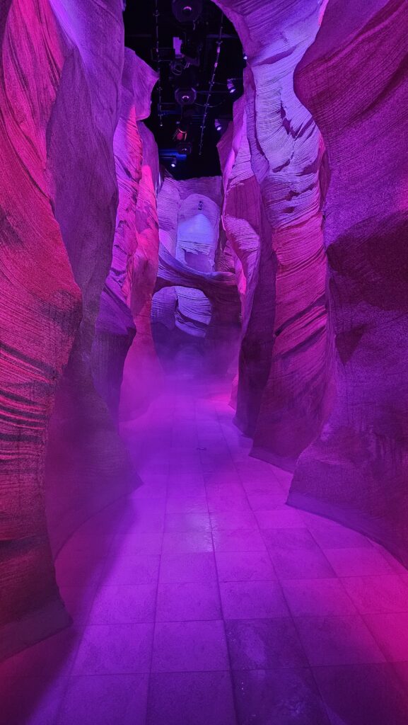 Le Canyon (Les Abysses de Lumière) at Aquascope, Futuroscope Xperiences – France