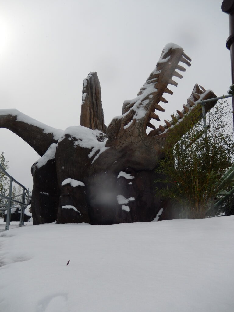Orochi at Le Parc du Bocasse – France (Photo: Le Parc du Bocasse)